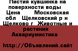Пистия(кувшинка на поверхности воды) › Цена ­ 5 - Московская обл., Щелковский р-н, Щелково г. Животные и растения » Аквариумистика   